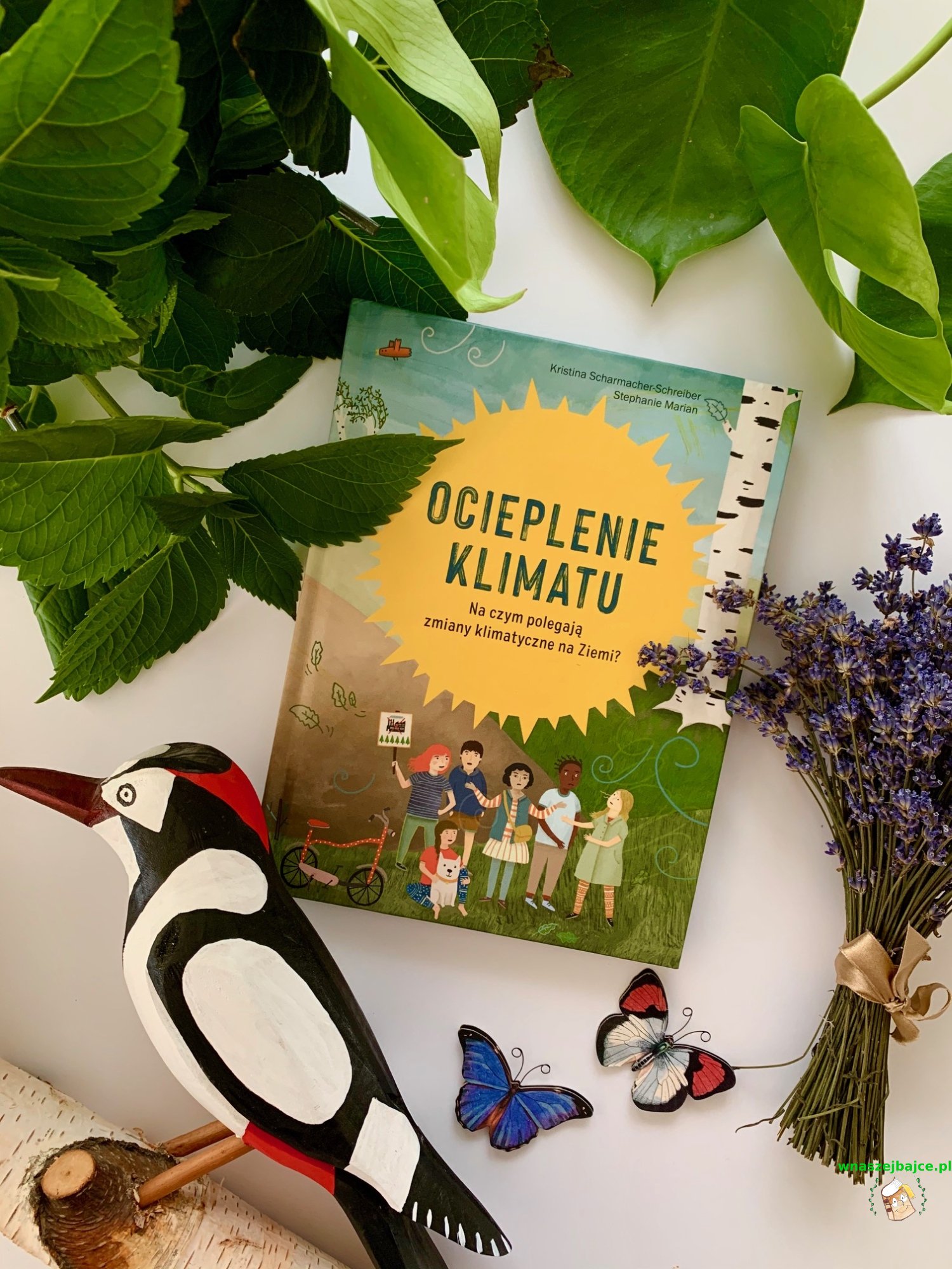 Jaka Jest Różnica Między Pogodą A Klimatem „OCIEPLENIE KLIMATU. Na czym polegają zmiany klimatyczne na Ziemi