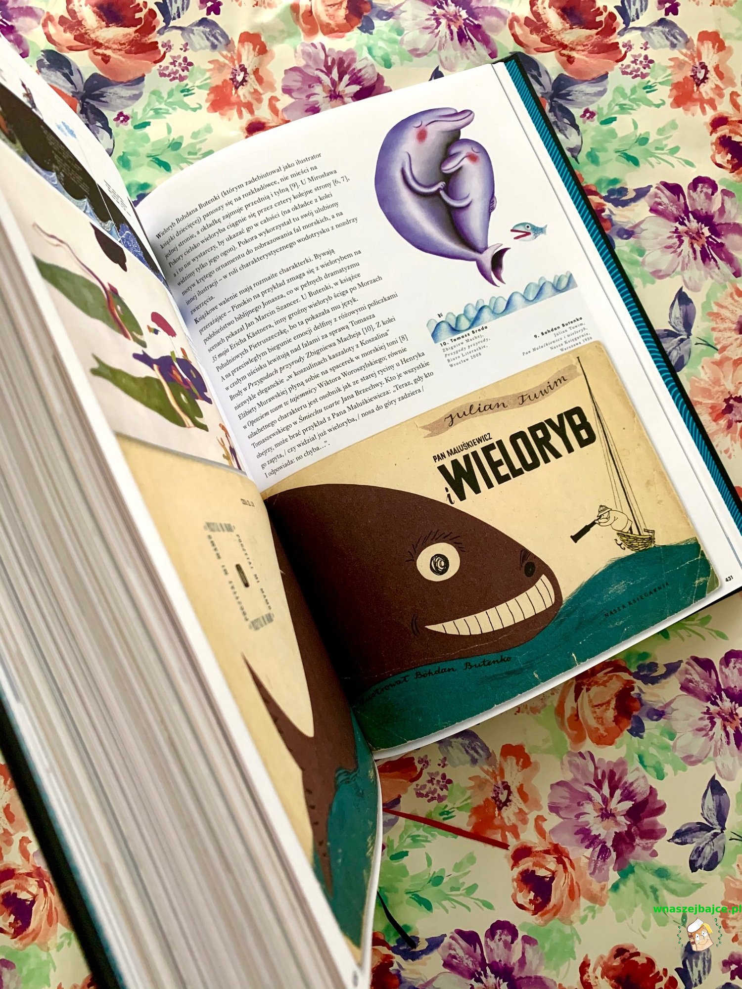 Które Zdjęcie Wybrałbyś Jako Ilustrację Do Tekstu życie Wśród Książek Admirałowie wyobraźni – 100 lat polskiej ilustracji w książkach dla