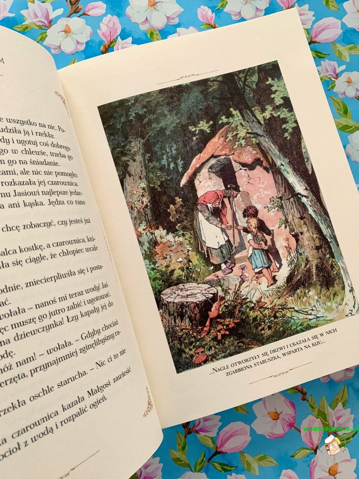 Który Przedmiot W Baśni Braci Grimmów Jest Magiczny Baśnie braci Grimm – Wydawnictwo DRAGON – Blog o książkach dla dzieci i
