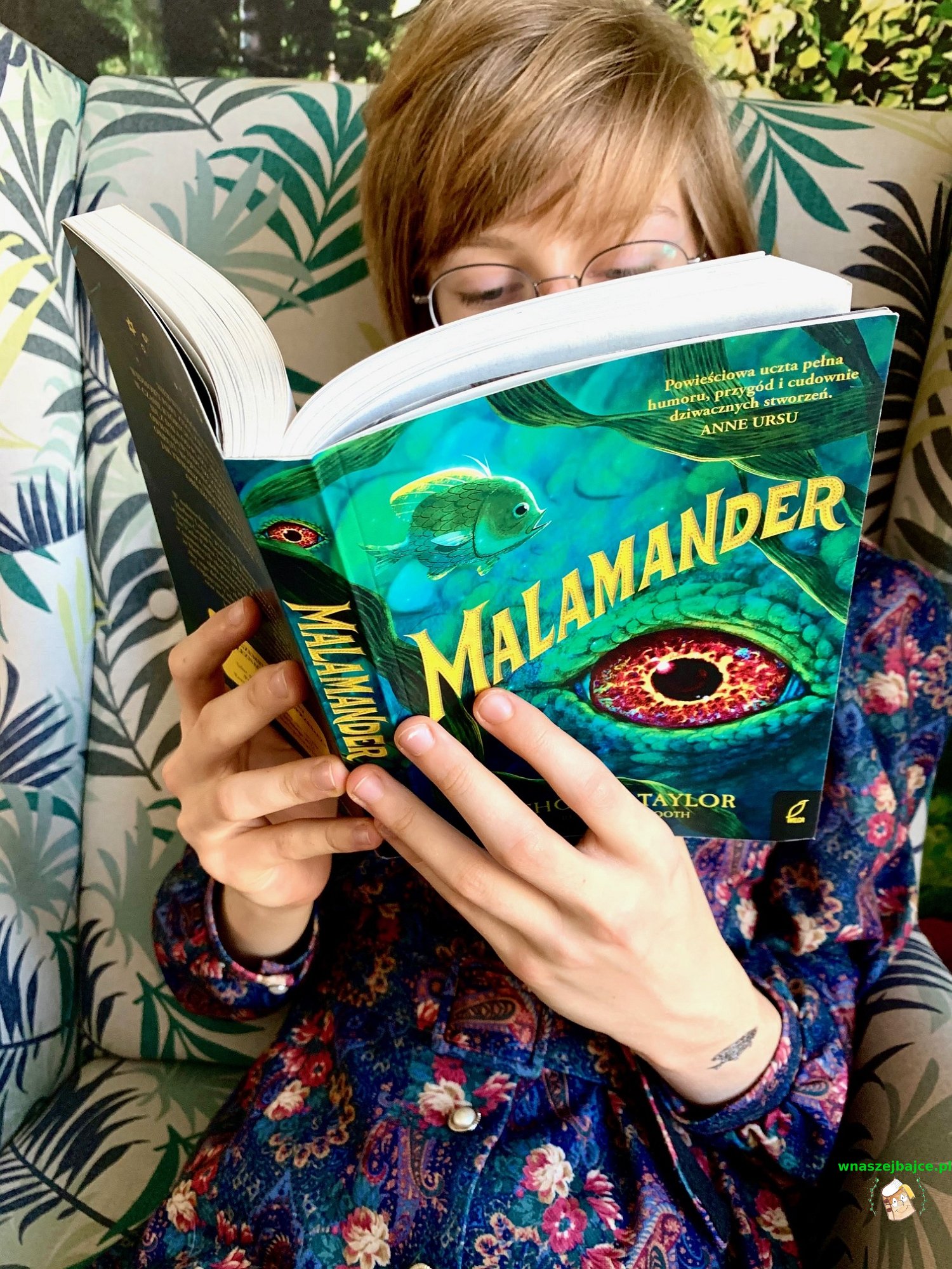 malamander book 5