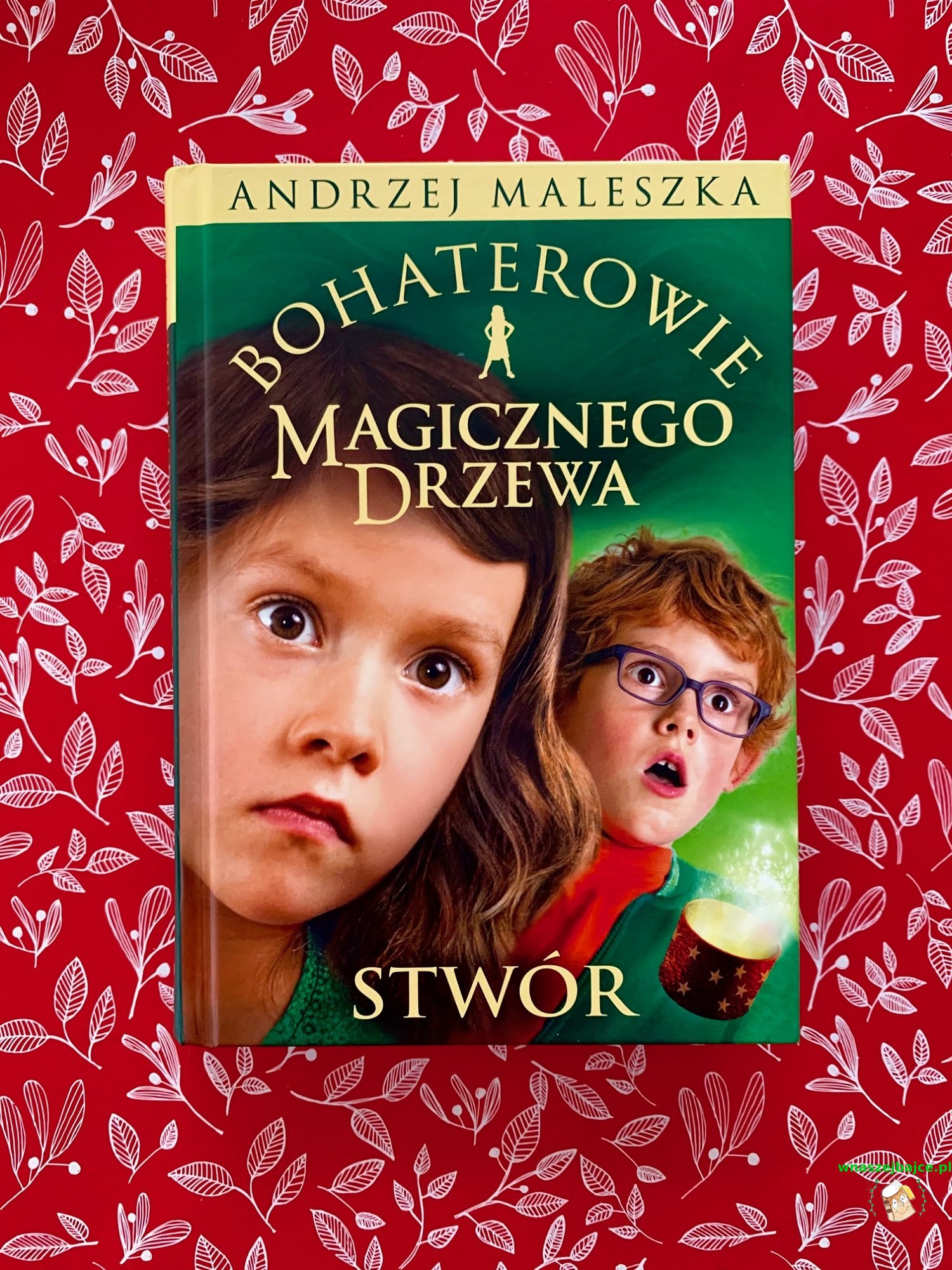 Charakterystyka Ciotki Maryli Z Magicznego Drzewa Bohaterowie Magicznego Drzewa. Stwór – Wydawnictwo ZNAK EMOTIKON – Blog