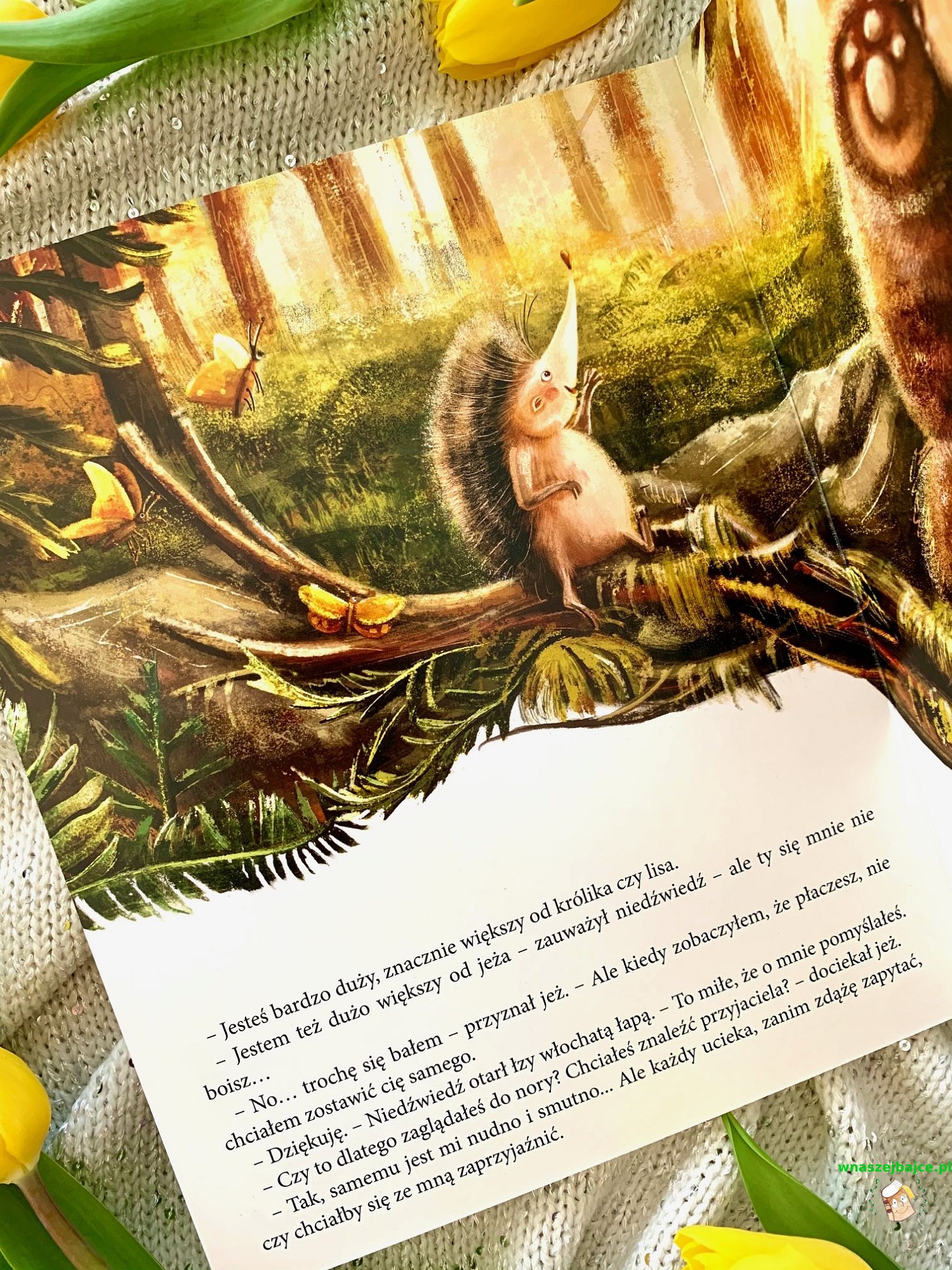 Co To Znaczy Przymknąć Na Coś Oko Niedźwiadek szuka przyjaciół – Wydawnictwo DWUKROPEK – patronat bloga