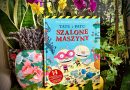 „Tatu i Patu. Szalone maszyny” – Wydawnictwo BONA