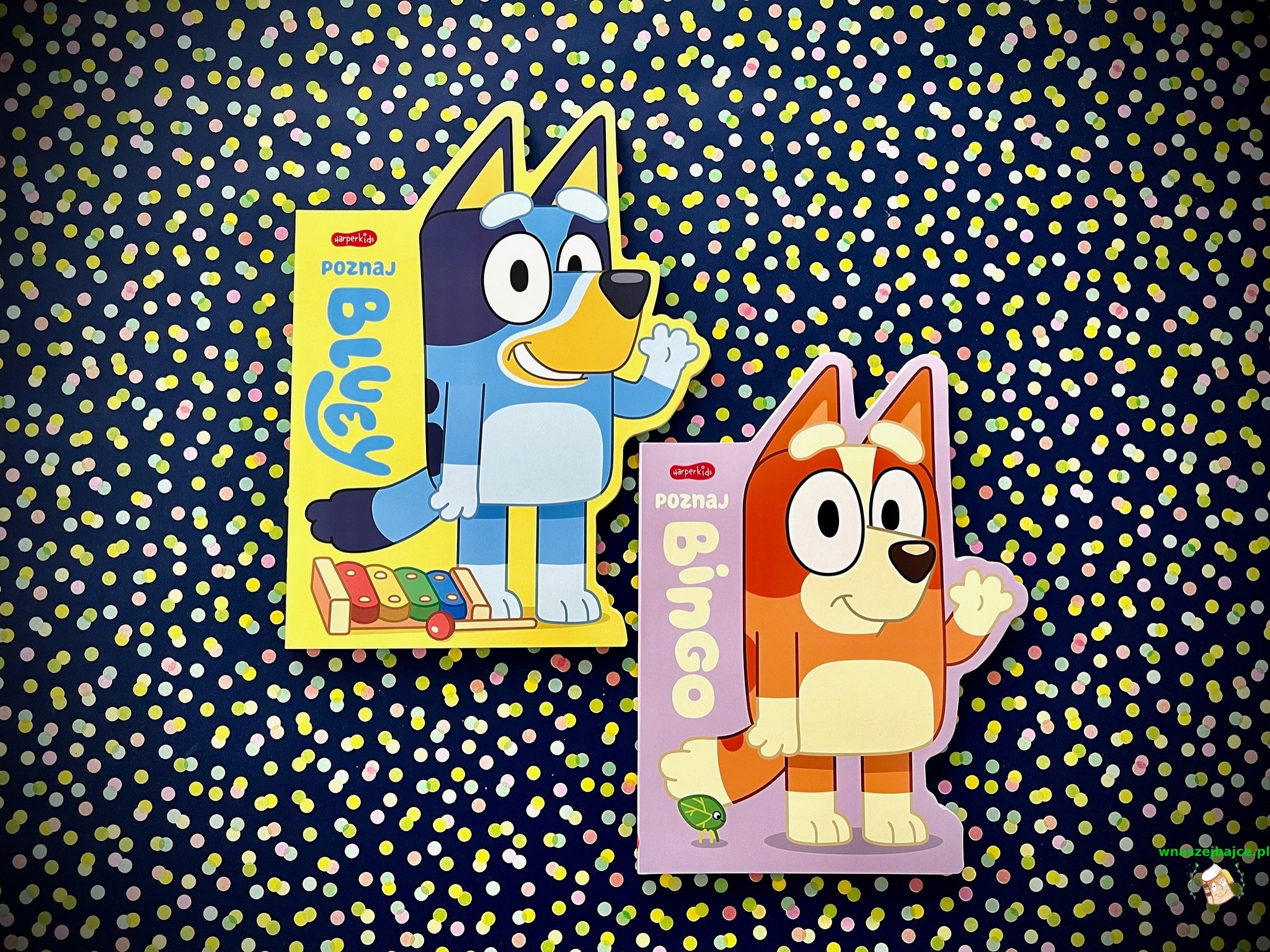 Książki kartonowe „Poznaj Bluey” i „Poznaj Bingo” Wydawnictwo HARPER