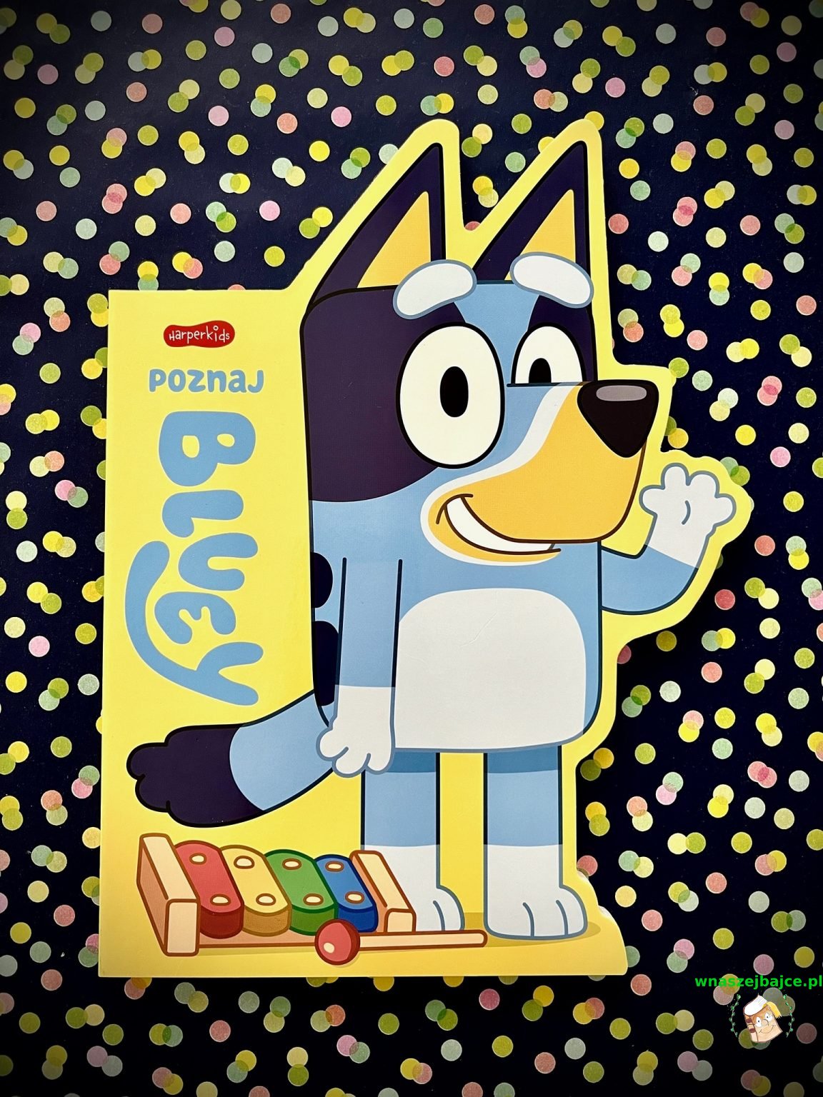 Książki kartonowe „Poznaj Bluey” i „Poznaj Bingo” Wydawnictwo HARPER