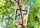 Seria „Wydarzyło się naprawdę. Messi. Mały chłopiec, który został wielkim piłkarzem” – Wydawnictwo SQN