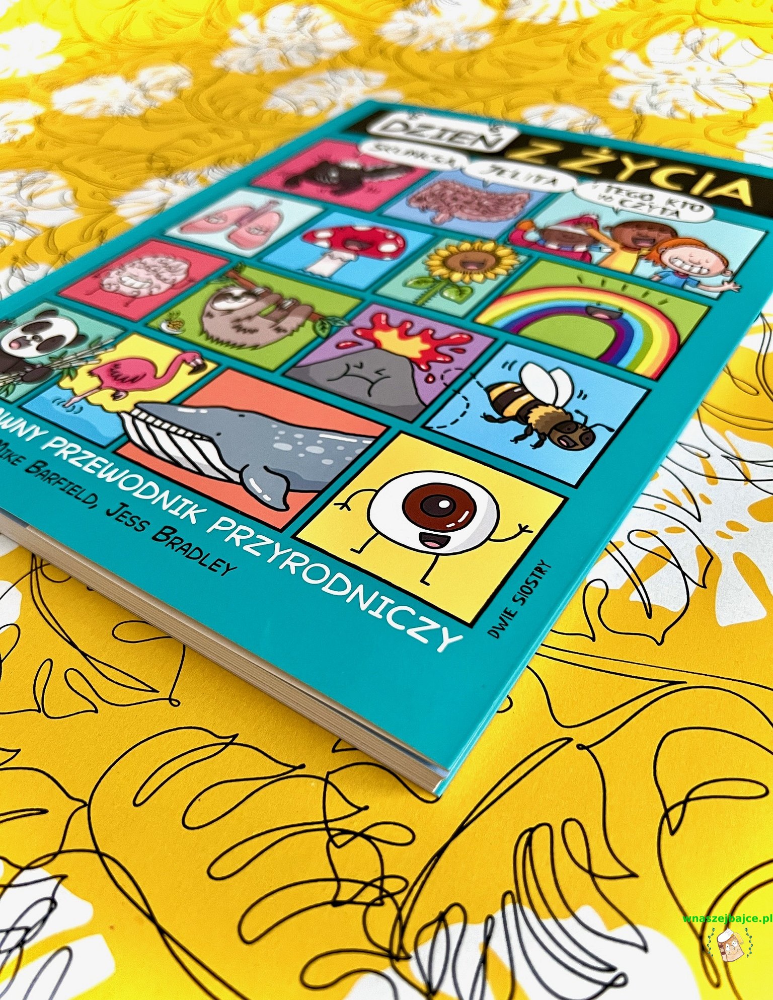 Science Comics 25冊セット Amazon.co.jp: Science Comics Series 18-Book Set : ゲーム