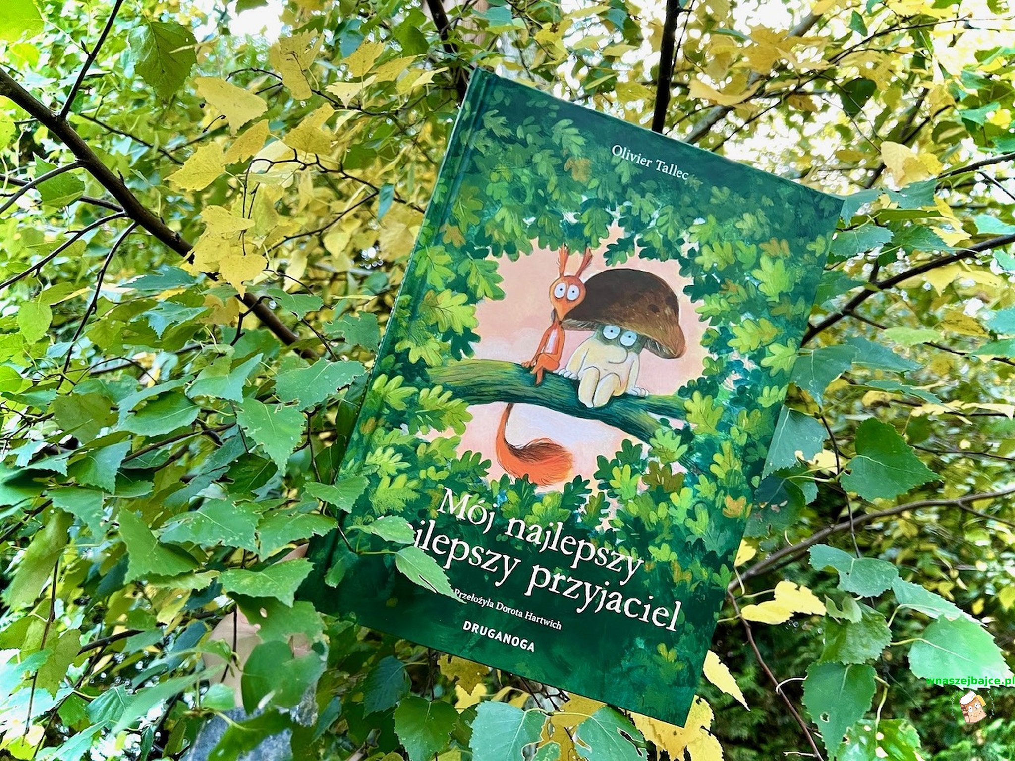 m-j-najlepszy-najlepszy-przyjaciel-wydawnictwo-druganoga-blog-o