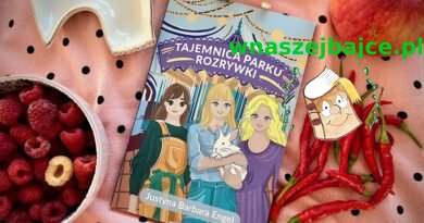 „Tajemnica parku rozrywki” – Justyna Barbara Engel