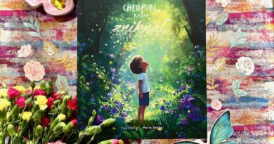 „Chłopiec, który zniknął” – książka + audiobook + karty pracy –  Wydawnictwo TUMILU