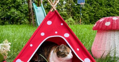 Tipi dla zwierzaka – Miluvi Pet