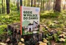 „Gdzie w Polsce do zamku” – Wydawnictwo PUBLICAT